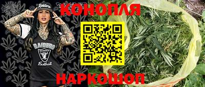 индика Северобайкальск