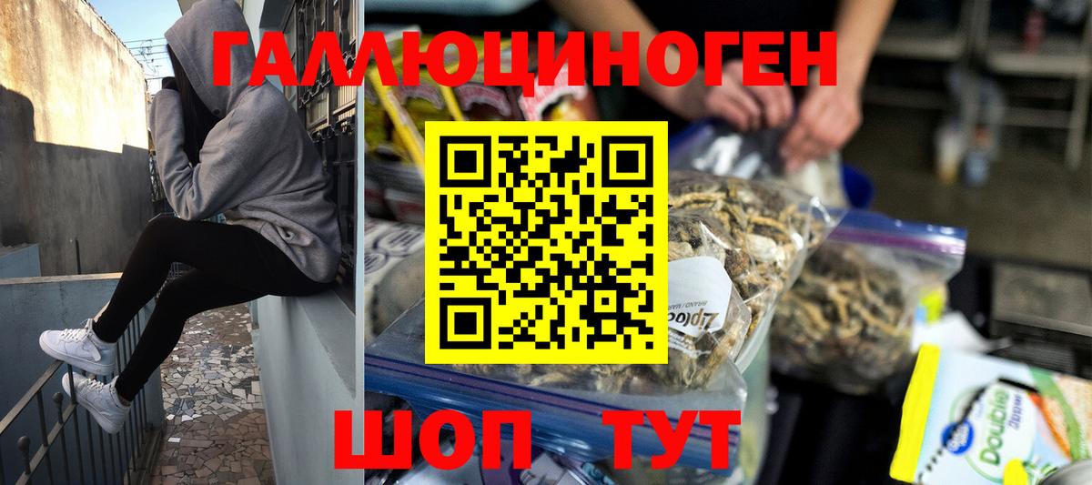Псилоцибиновые грибы Psilocybe Первоуральск